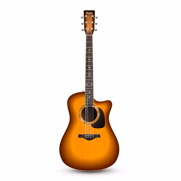 acoustic guitar
